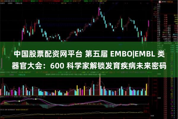 中国股票配资网平台 第五届 EMBO|EMBL 类器官大会：600 科学家解锁发育疾病未来密码