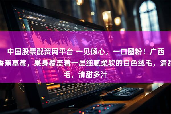 中国股票配资网平台 一见倾心，一口圈粉！广西有种香蕉草莓，果身覆盖着一层细腻柔软的白色绒毛，清甜多汁